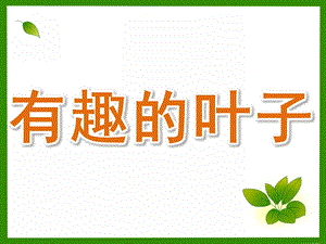 有趣的叶子PPT课件教案图片PPT课件.pptx