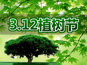 幼儿园植树节PPT课件幼儿园植树节.pptx