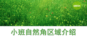 幼儿园小班自然角区域介绍PPT课件小班自然角区域介绍.pptx