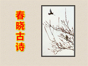 幼儿园春晓古诗PPT课件教案图片春.pptx