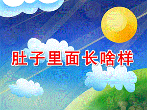 D010肚子里面长啥样.ppt