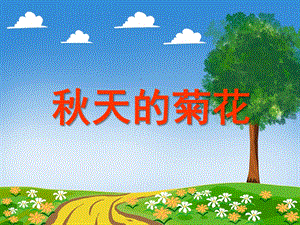 中班科学活动《天的菊花》PPT课件教案PPT课件.ppt