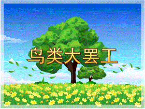 中班社会《鸟类大罢工》PPT课件教案中班社会《鸟类大罢工》课件.ppt