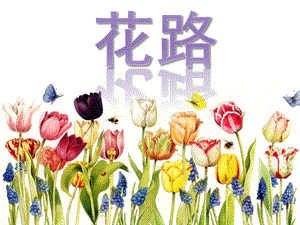 幼儿园语言活动《花路》PPT课件教案.pptx