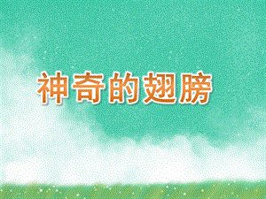 中班科学《神奇的翅膀》PPT课件比本领.ppt