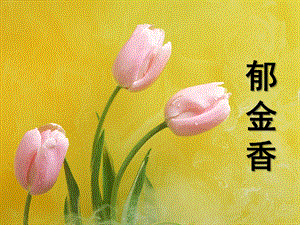 幼儿园美术《漂亮的郁金香》PPT课件ppt课件.pptx