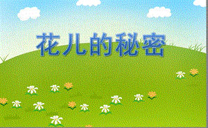 中班综合《花儿的秘密》PPT课件中班综合《花儿的秘密》PPT课件.ppt