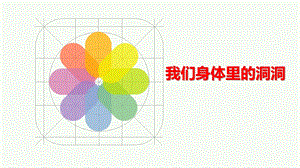 中班科学《我们身体里的洞洞》PPT课件教案PPT课件.ppt