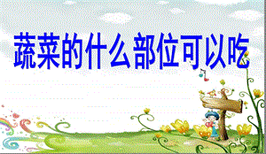 中班健康《蔬菜什么部位可以吃》PPT课件教案蔬菜什么部位可以吃.ppt