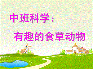 中班科学《有趣的食草动物》PPT课件有趣的食草动物.ppt