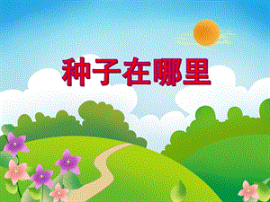 中班科学活动《种子在哪里》PPT课件教案PPT课件.ppt