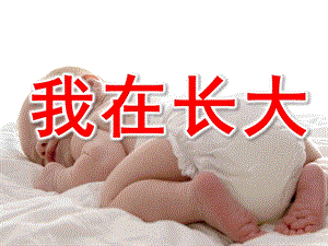 幼儿园我在长大PPT课件教案我在长大.pptx