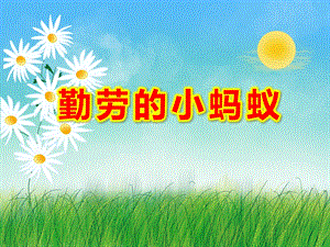 勤劳的小蚂蚁PPT课件教案图片中班科学活动《勤劳的小蚂蚁》PPT课件.ppt