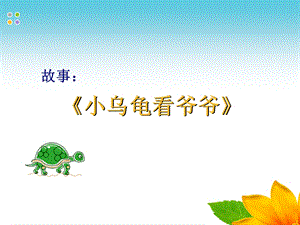 05小班语言阅读《小乌龟看爷爷》小乌龟看爷爷.ppt