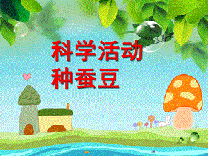 中班科学优质课《种蚕豆》PPT课件教案2e65a451-516a-42a1-be8a-.ppt