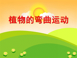 中班科学《植物的弯曲运动》PPT课件教案科学：植物的弯曲运动.ppt