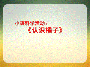 小班科学《认识橘子》PPT课件教案小班-科学：剥橘子.pptx