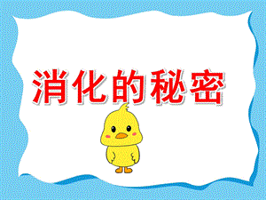 幼儿园消化的秘密PPT课件教案PPT课件.pptx