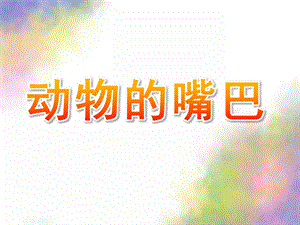 中班科学《动物的嘴巴》PPT课件教案中班科学《动物的嘴巴》.ppt