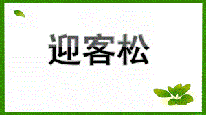 小班美术《迎客松》PPT课件小班安徽迎客松.pptx