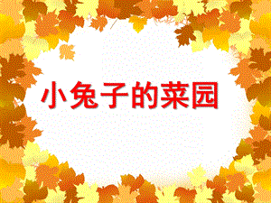 中班音乐《小兔子的菜园》PPT课件教案小兔子的菜园.ppt