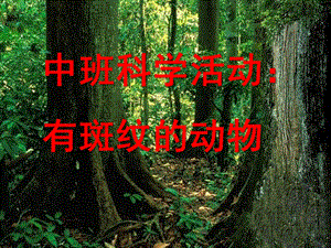 中班科学《有斑纹的动物》PPT课件教案中班科学有斑纹的动物演示文稿.ppt