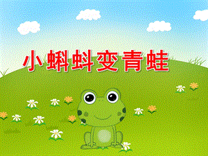 小班科学《小蝌蚪变青蛙》PPT课件教案PPT课件.pptx