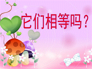 中班数学活动《它们相等吗》PPT课件教案.ppt