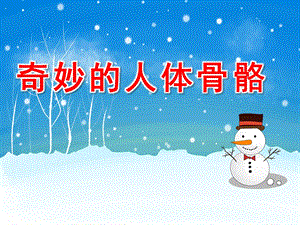 中班健康《奇妙的人体骨骼》PPT课件教案.ppt