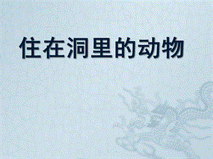 中班科学《住在洞里的动物》PPT课件住在洞里的动物.ppt