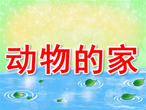 幼儿园动物的家PPT课件教案PPT课件.pptx