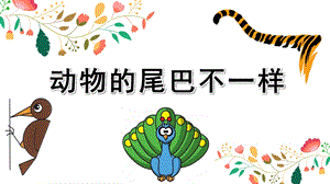 动物的尾巴PPT课件教案图片中班科学活动课《动物的尾巴》PPT课件.ppt