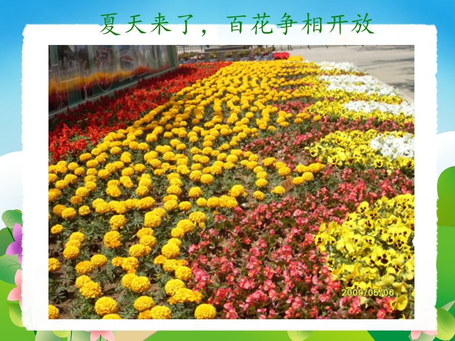 中班社会《认识夏天》PPT课件教案设计幼儿园大班常识教学课件——夏天来了.ppt_第3页