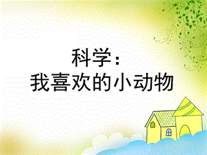 中班科学《我喜欢的小动物》PPT课件教案中班科学-我喜欢的小动物.ppt