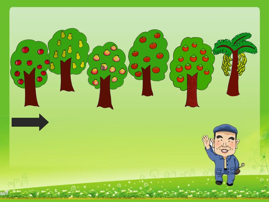 中班数学活动《爷爷的果园》PPT课件教案果园.ppt_第2页
