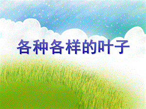 中班科学活动《各种各样的叶子》PPT课件中班科学活动《各种各样的叶子》PPT课件.ppt