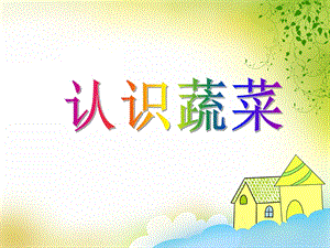 中班科学优质课《认识蔬菜》PPT课件中班科学优质课《认识蔬菜》PPT课件.ppt