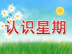 幼儿园《认识星期》PPT课件教案PPT课件.pptx