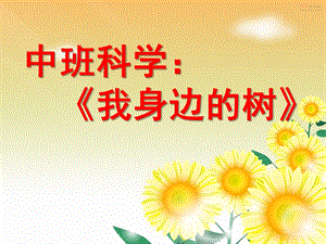 中班科学《我身边的树》PPT课件教案.ppt