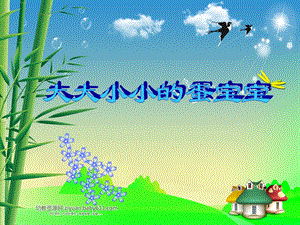 中班科学《大大小小的蛋宝宝》PPT课件教案PPT课件.ppt
