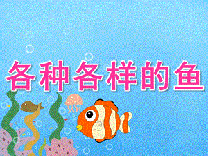 中班综合活动《各种各样的鱼》PPT课件教案PPT课件.ppt