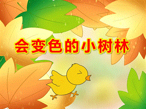 中班美术活动《会变色的小树林》PPT课件教案会变色的小树林.ppt