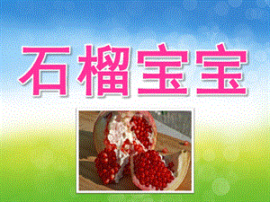 小班美术《石榴宝宝》PPT课件教案PPT课件.pptx
