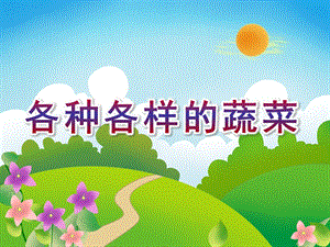幼儿园科学认知活动《各种各样的蔬菜》PPT课件教案蕾蕾班科学认知活动《各种各样的蔬菜》.pptx