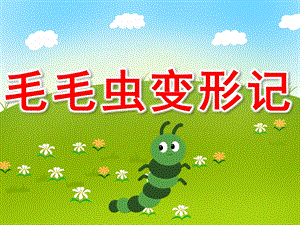 毛毛虫变形记PPT课件教案图片PPT课件.pptx