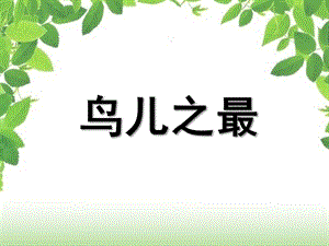 中班科学《鸟儿之最》PPT课件教案.ppt