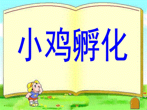中班科学《小鸡孵化》PPT课件教案小鸡孵化演示文稿.ppt