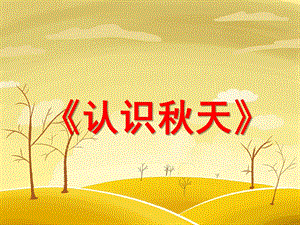 认识天PPT课件教案图片认识天.pptx