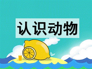 幼儿园宝宝学认识动物PPT课件宝宝学认识动物.ppt