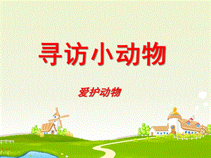 幼儿园《寻访小动物爱护动物》PPT课件.ppt
